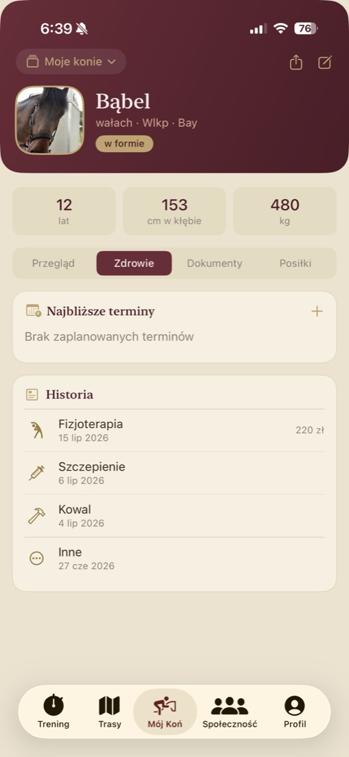 Karta konia: wzrost, waga i historia zdrowia