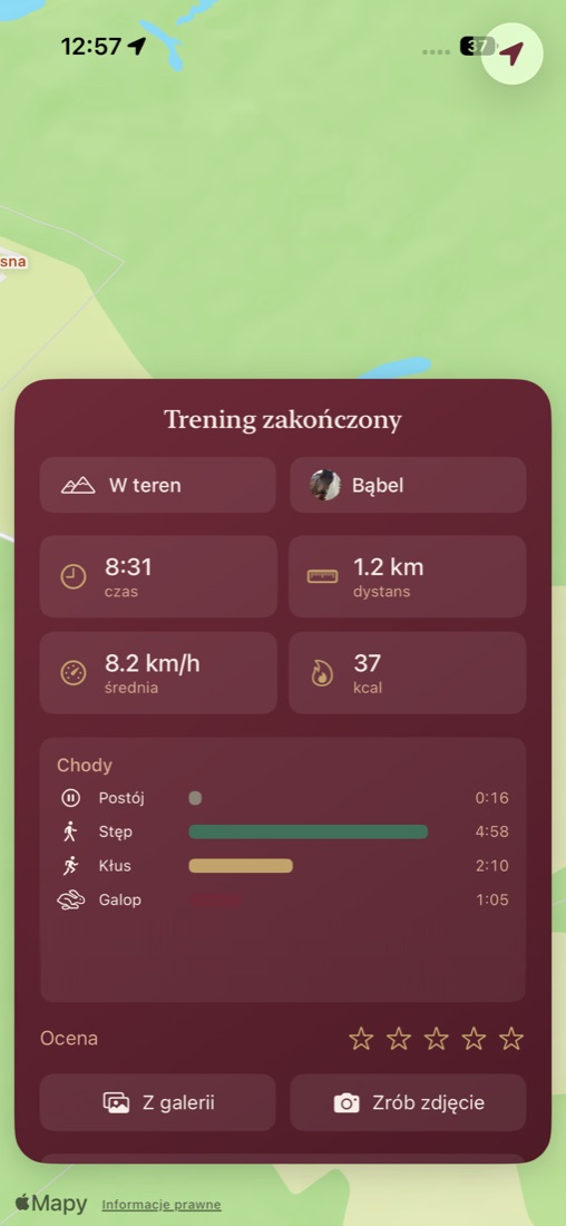 Podsumowanie jazdy w EquiCenter: czas, dystans, średnia prędkość i podział na chody