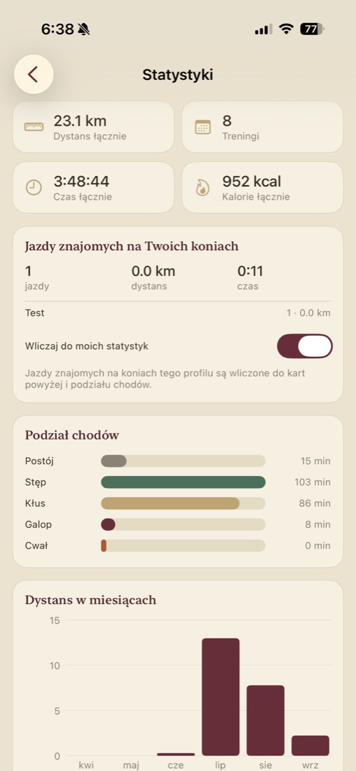 Statystyki: dystans łącznie, czas i podział chodów